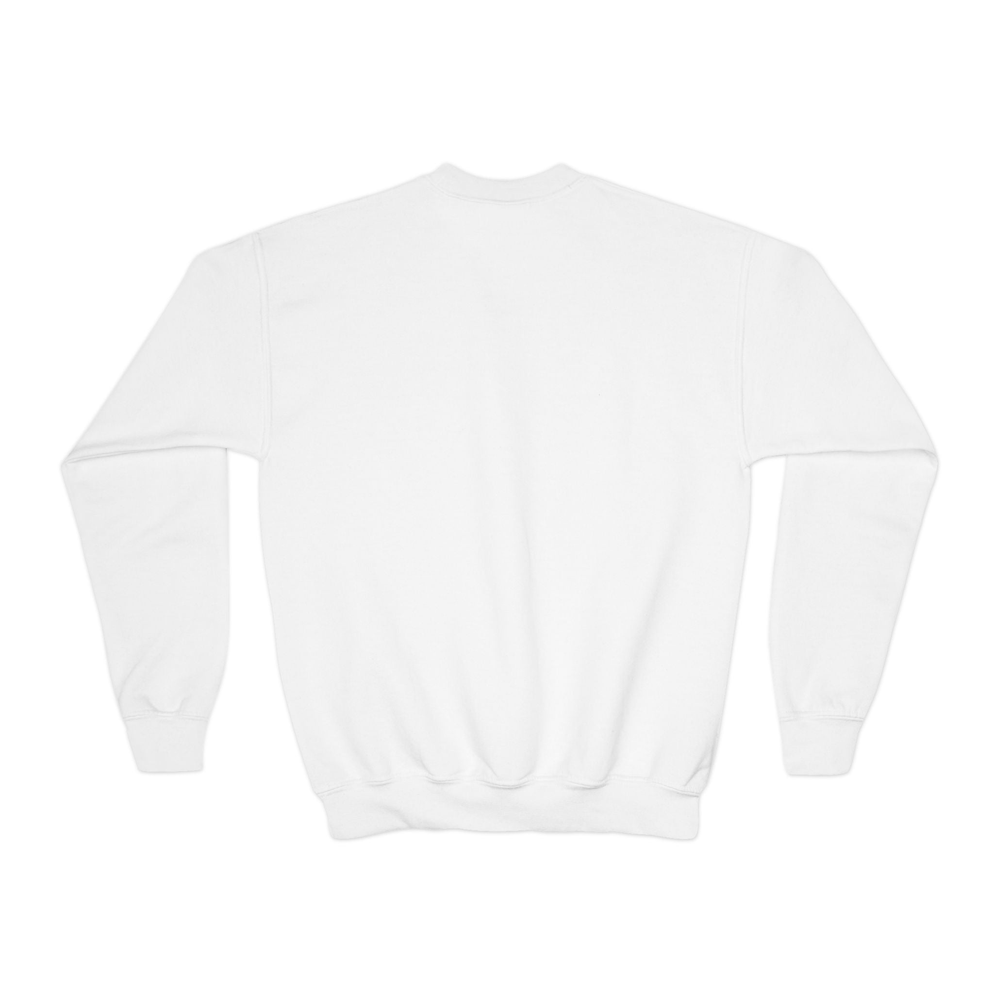 Mardi Gras Youth Crewneck Sweatshirt